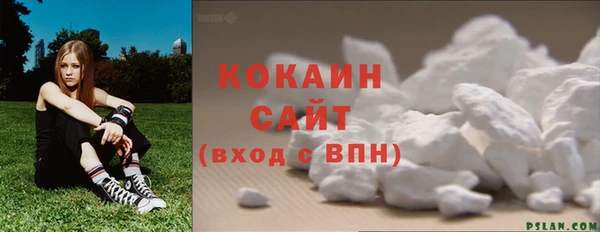 крисы Липки