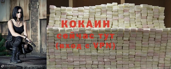 крисы Липки