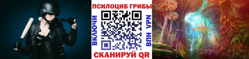 Купить  Сальск  Галлюциногенные грибы Magic Shrooms 